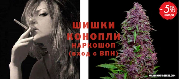ПСИЛОЦИБИНОВЫЕ ГРИБЫ Гусев