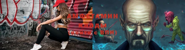 твердый Алексеевка